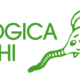 Spurghi - ecologica spurghi